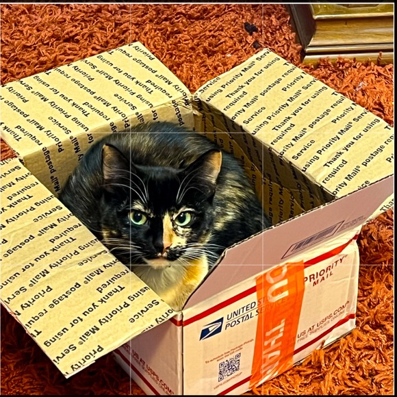 Dooney & Bourke Medium Russel tote, Saffiano leather, color  Bubblegum pink💕 - Picture 11 of 14